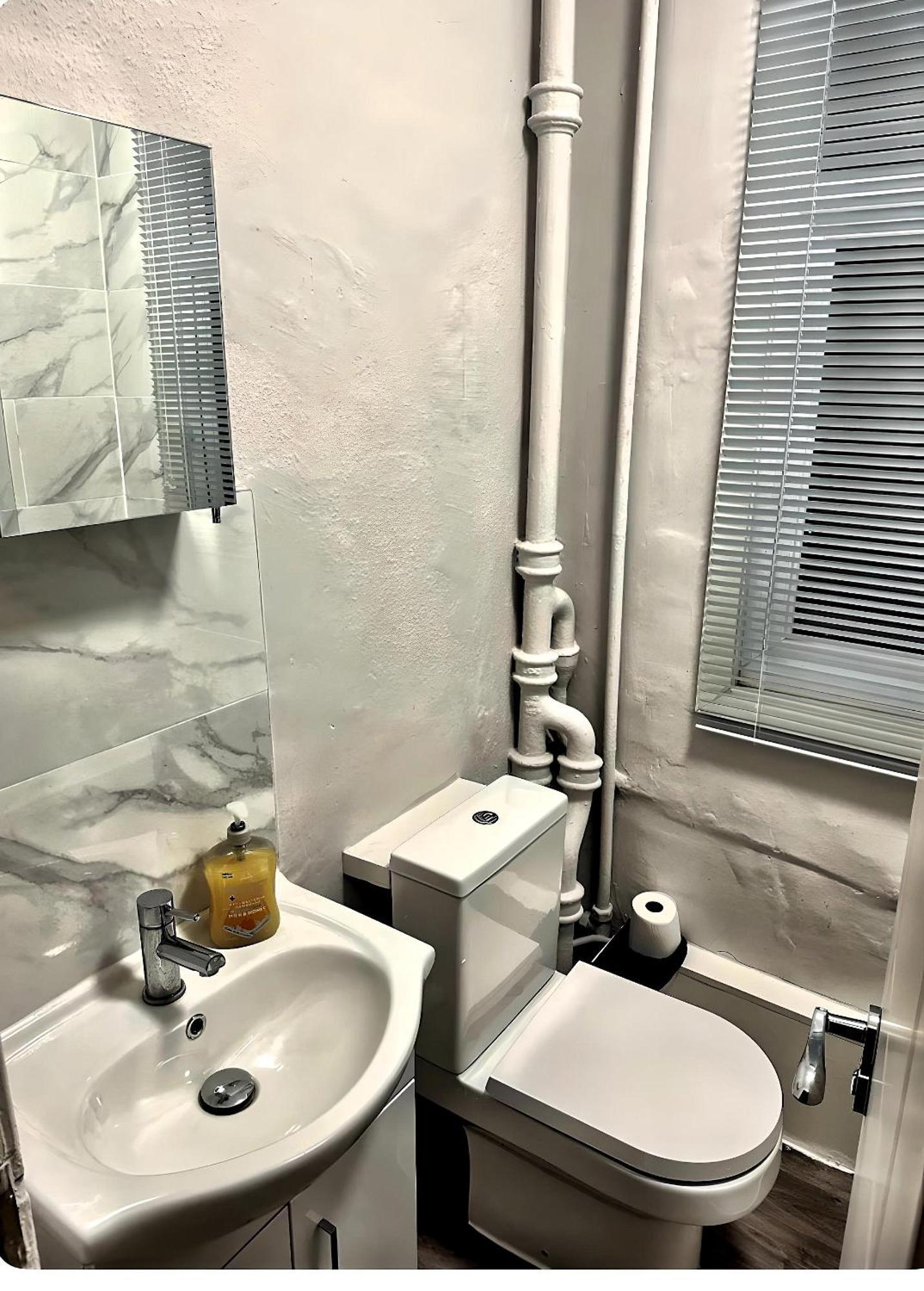 شقة Brixton Hill Retreat Modern And Cosy لندن المظهر الخارجي الصورة