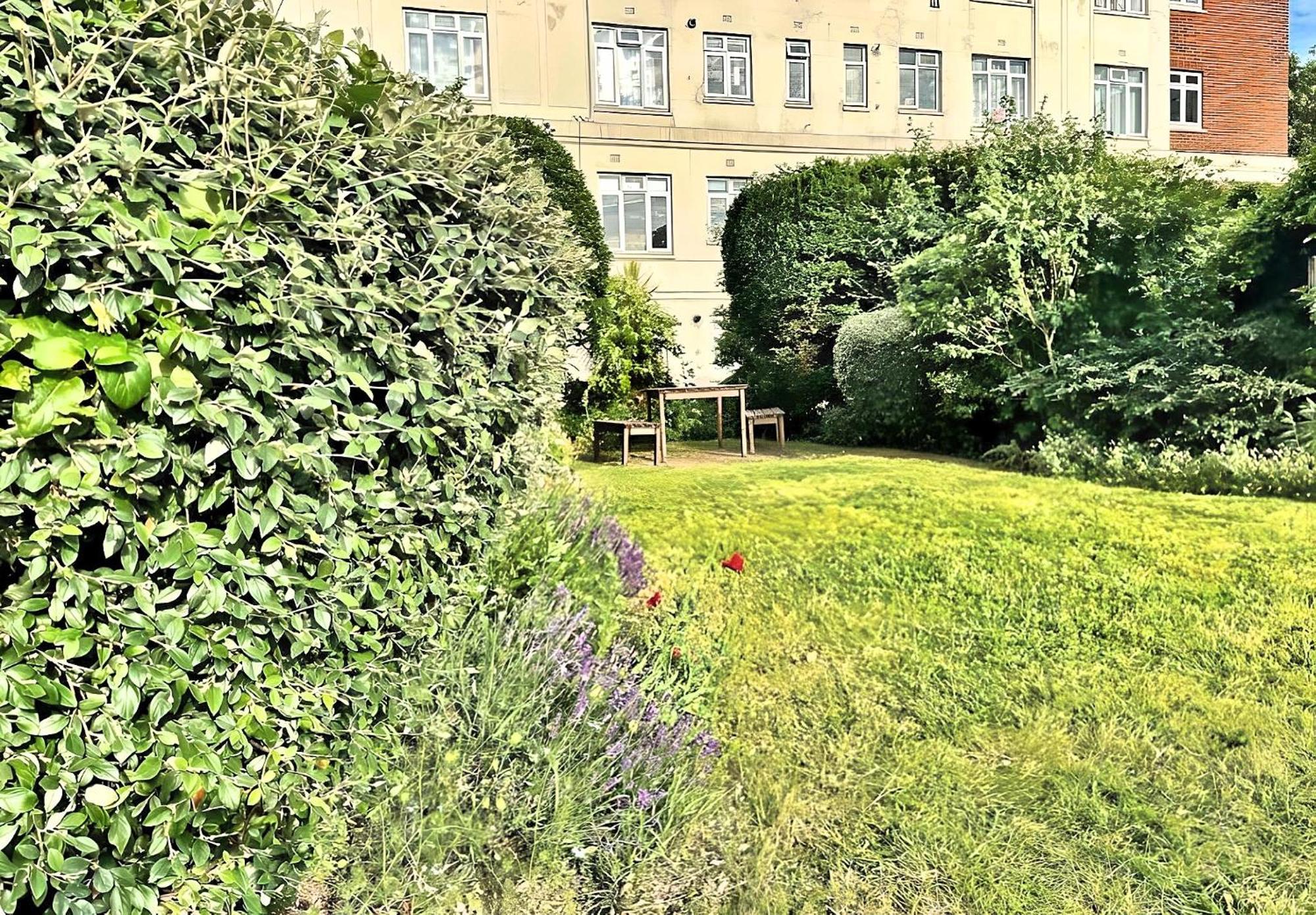 شقة Brixton Hill Retreat Modern And Cosy لندن المظهر الخارجي الصورة
