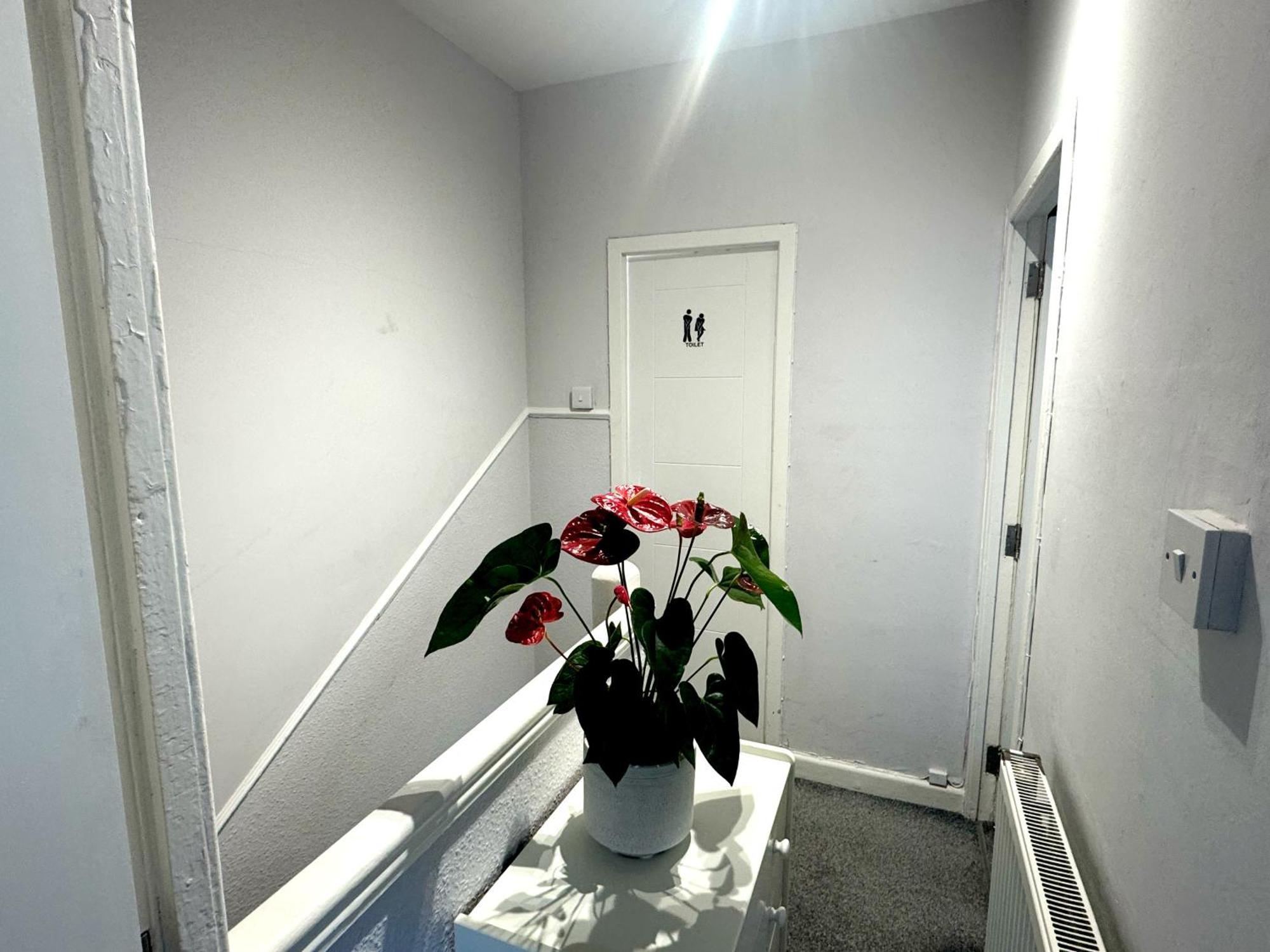 شقة Brixton Hill Retreat Modern And Cosy لندن المظهر الخارجي الصورة